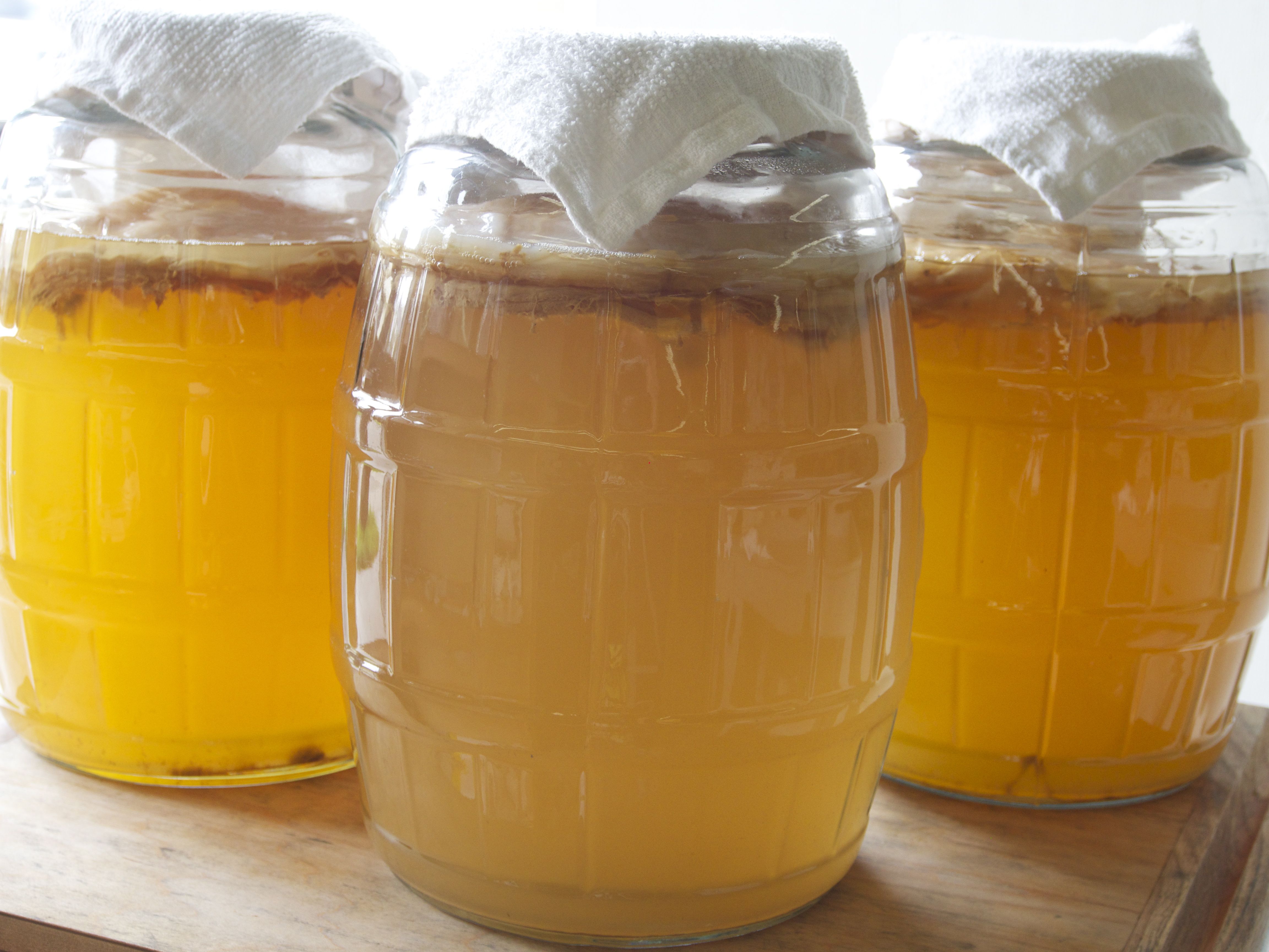 kombucha big jars